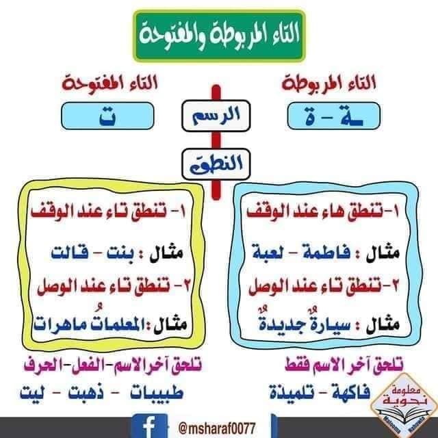 NDAzNDgx1 بالصور شرح درس التاء المربوطة و المبسوطة و الهاء للصف الثامن الفصل الاول 2020